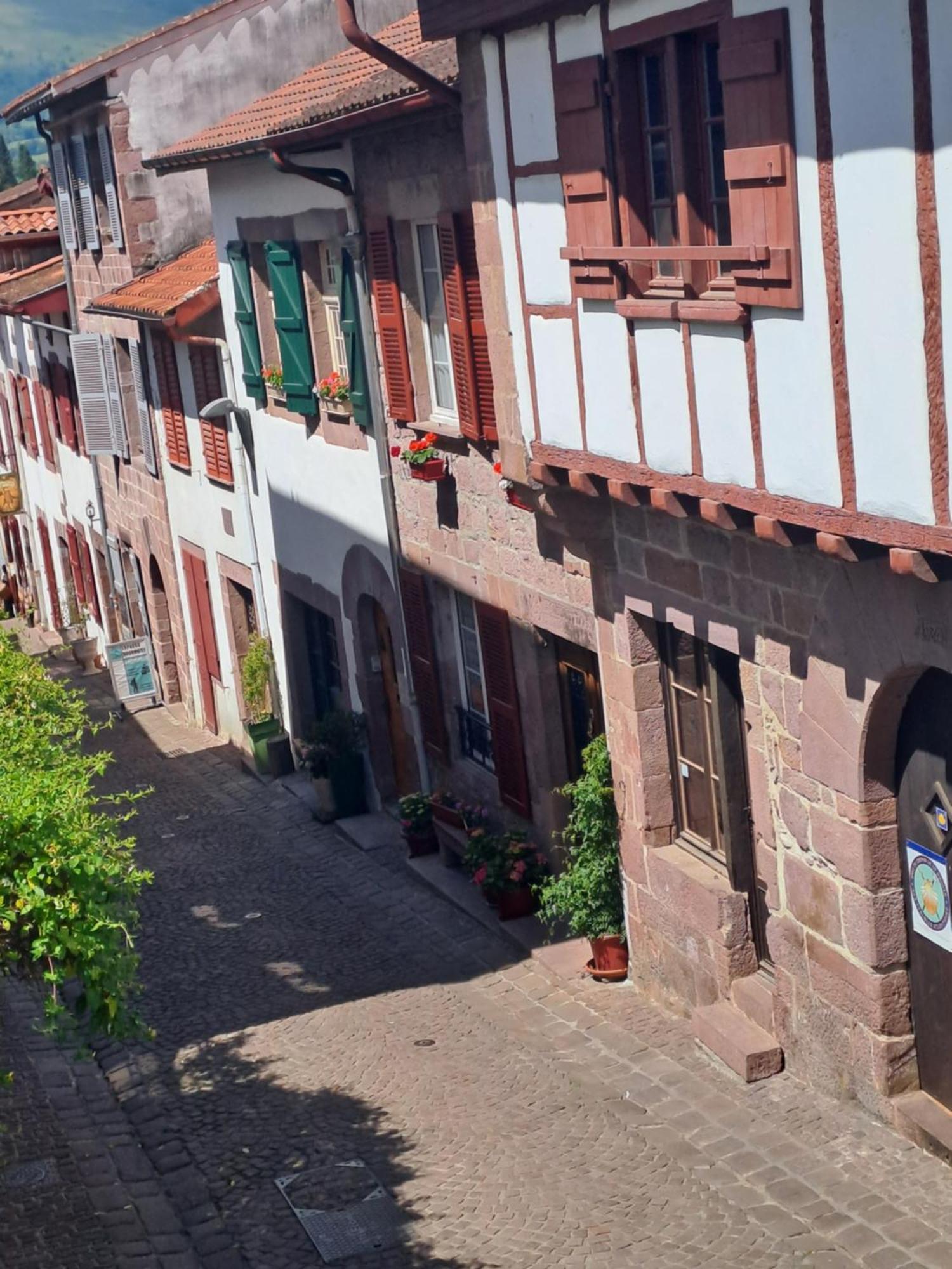 Maison Gohora Dago Saint-Jean-Pied-de-Port Exterior photo